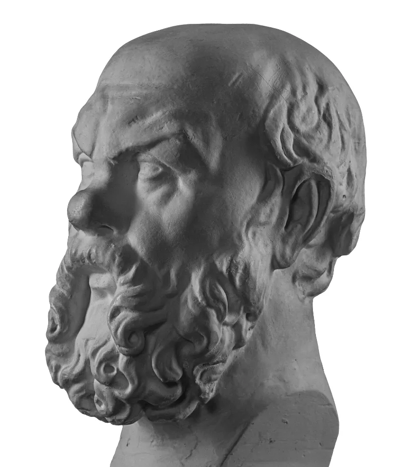 芸術的な美しい歯の創造 After